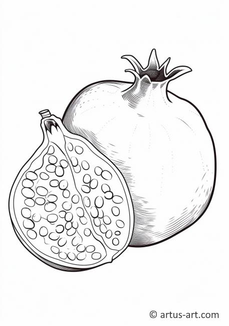 Kreslení plátek granátového jablka